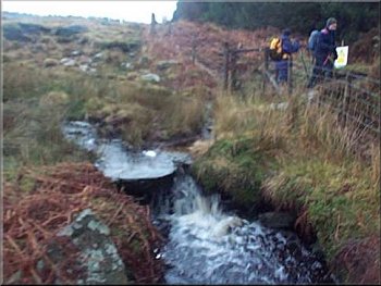 Moorland stream on the edge of Cropton Forest