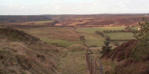 Looking towards Newtondale from the hairpn bend above Saltergate on the Pickering/Whitby road