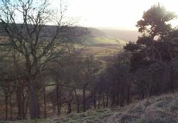 The evening sunlight over the Hole of Horcum