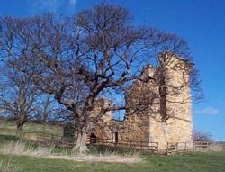 Ruins of Ayton Castle