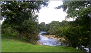 River Ure at Nutwith Cote