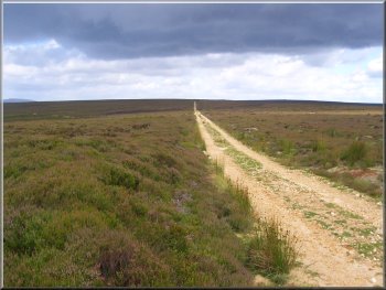 Grouse shooters track from Stump Cross