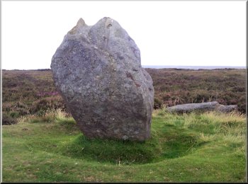The Common Stone