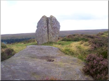 The Common Stone