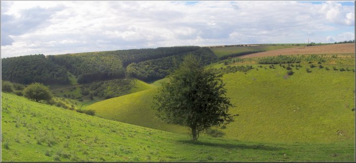 Deep Dale in the Yorkshire Wolds