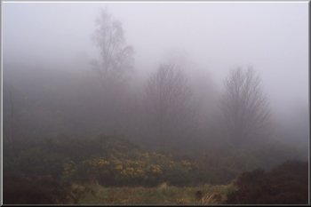 Mist & drizzle on the Eildon Hills