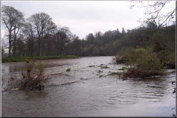 The River Tweed in flood near St. Boswells