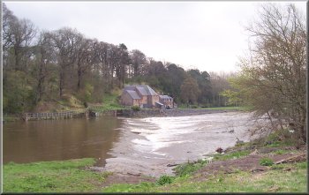 River Tweed at Mertoun Mill