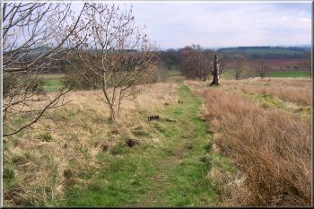 Dere Street stretching away into the distance