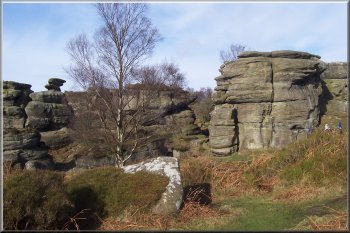 Part of Brimham Rocks