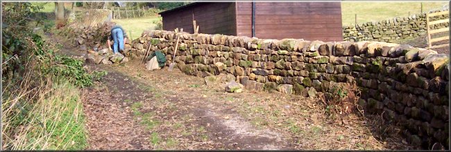 Everything about this lovely new dry stone wall is just so pleasing to the eye