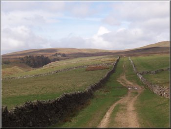 Track across the moor to Howden Lodge