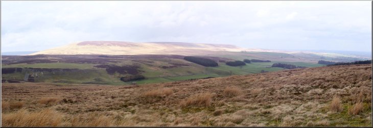 Looking across to Harland Hill and Penhill from Fleensop Moor