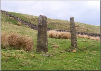 Stone gateposts on the line of a long lost stone wall