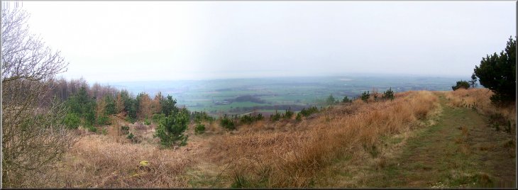 Looking west into the haze from the ridge at the top of Silton Woods