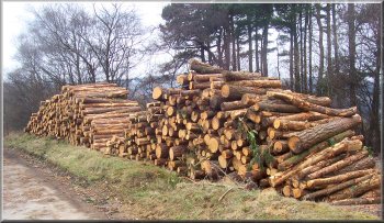 Timber stack on the lane to Kepwick