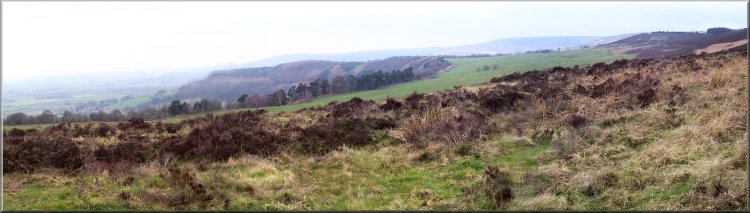 Looking north across the moor from the edge of Boltby Forest over Cowesby toward Kepwick