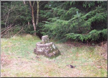 Remains of an old stone cross beside the path on the edge of Boltby Forest