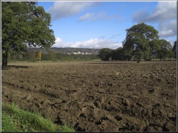Distant view of Ampleforth Abbey across a ploughed field