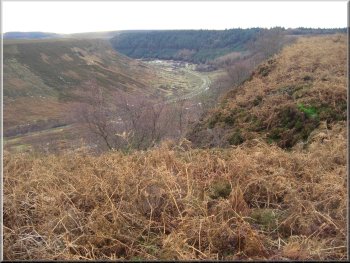 Newtondale from the path above Northdale Scar