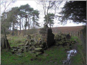 The ruined farm at Wardle Green
