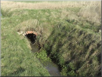 Drainage ditch across the flat land approaching Market Weighton