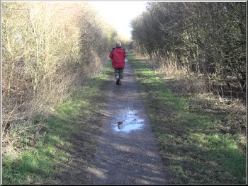 Path along the disused railway from Market Weighton
