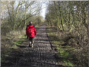 Path along the disused railway from Market Weighton