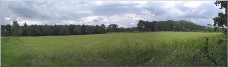 The immaculate expanse of the  rolled , close cut polo field at Houghton Hall