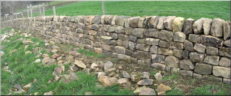 A very nice piece of new dry stone walling