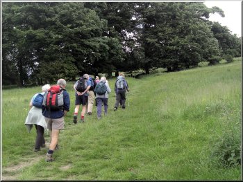 Climbing up from Winster to the Limestone Way