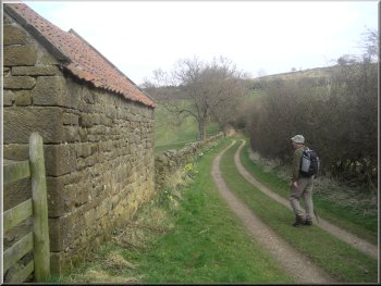 Heading for Osmotherley on the Cleveland Way