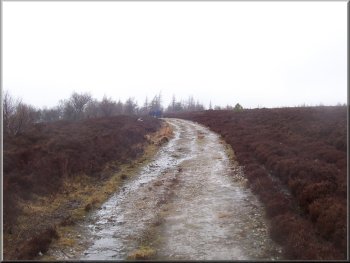 Track along the edge of Rievaulx Moor