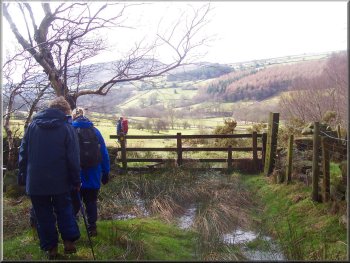 Leaving the woodland above Hagg End farm