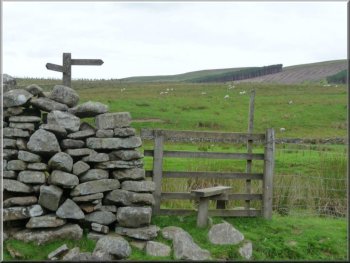Signpost pointing to Cotterdale 