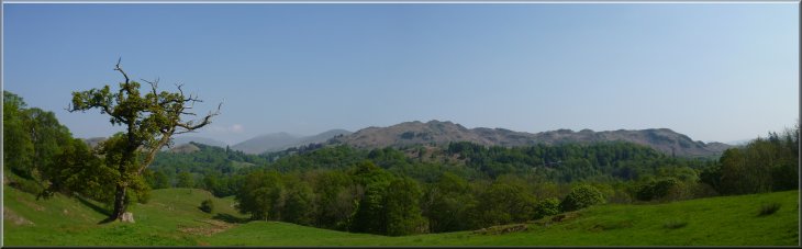 View of Loughrigg Fell from the Cumbrian Way path