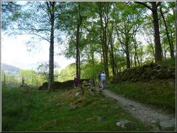 The track through the woods heading up Great Langdale