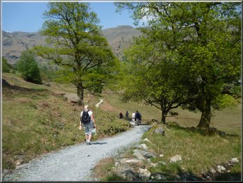 Path up Great Langdale heading for Oak Howe