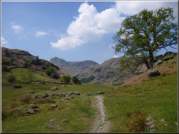 Looking along Great Langdale to the Langdale Pikes