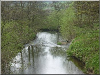 River Derwent from the road bridge