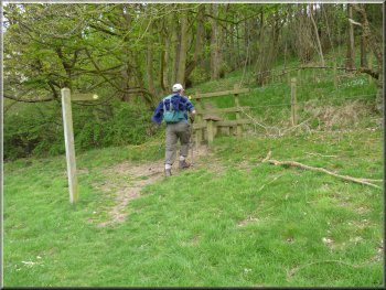 Stile into the woods