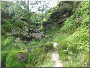 Site of the Brontë Falls - but no water