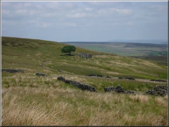 Looking back to Top Withins from the Pennine Way