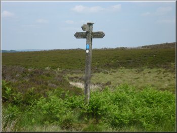 Sign post at Harbour Lodge 