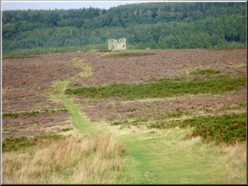 Looking back along the green track to Skelton Tower