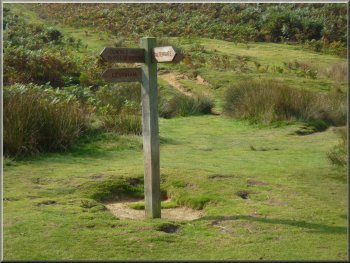 Signpost at Dundale Pond