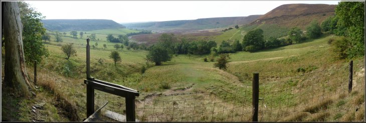 Looking back across the Hole-of-Horcum from the edge of the oak woods