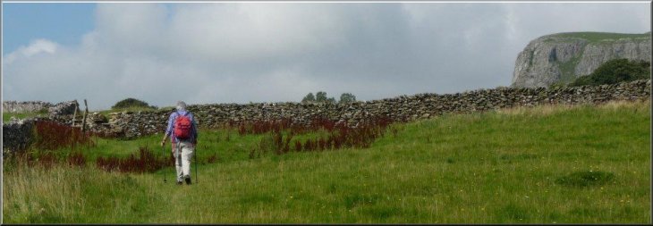 Continuing towards a stile in the corner of the pasture