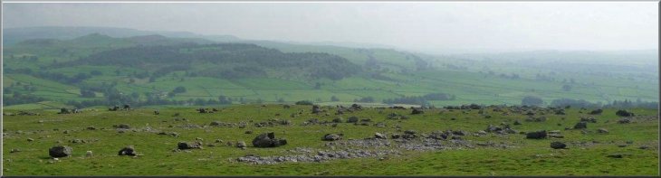 A large area strewn with countless erratics on underlying limestone 