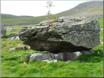 An erratic supports life